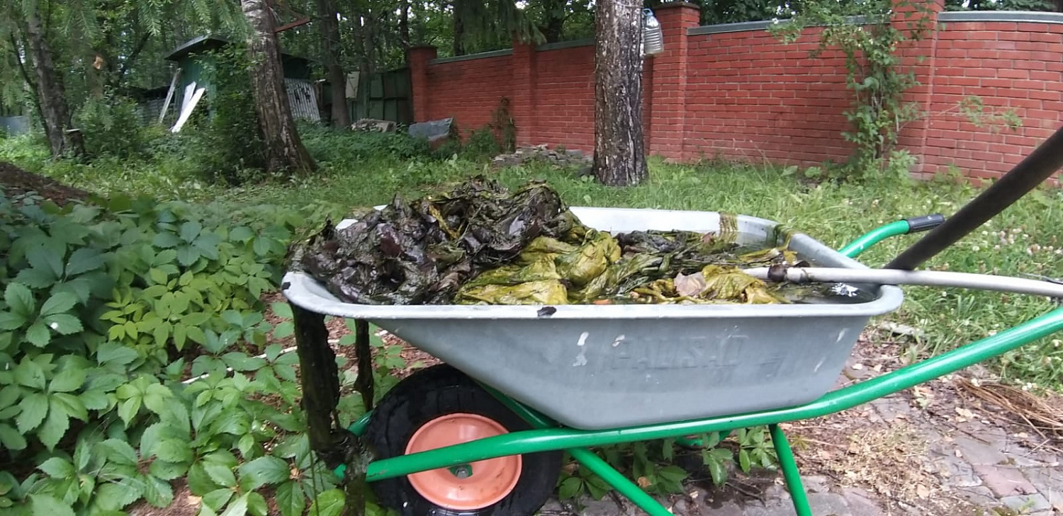 Очистка пруда и водоема от нитчатых водорослей.